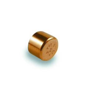 PlumbRight End Feed Stop End 22mm